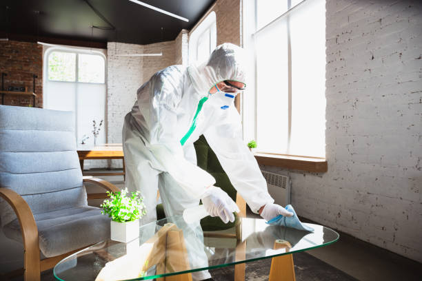 Mold Odor Removal Services in Rockford, MI